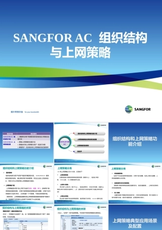 XXXX年度渠道初级认证培训04_组织结构与上网策略管理_2
