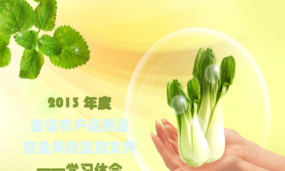 XXXX年度全省农产品质量安全风险监测文件学习体会_攀