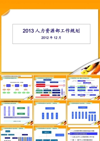 XXXX年度人力资源工作规划