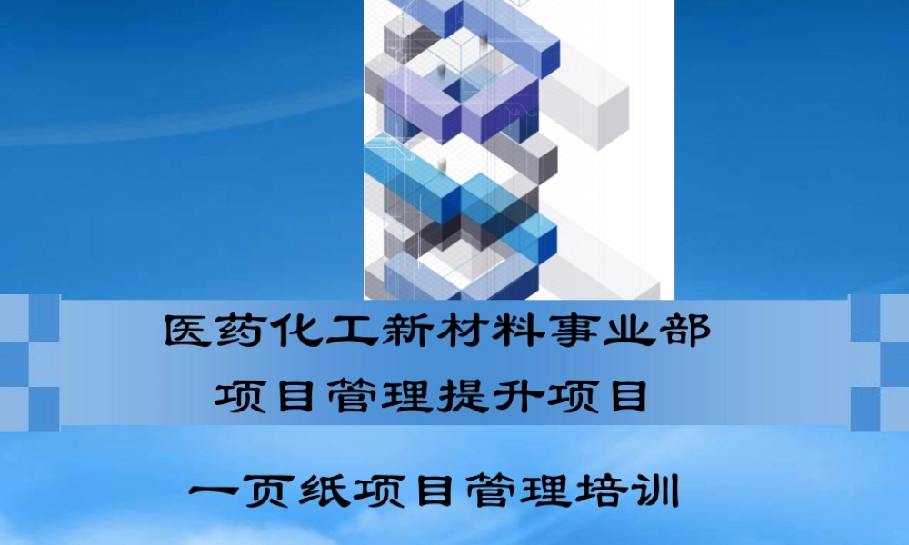 一页纸项目管理_1