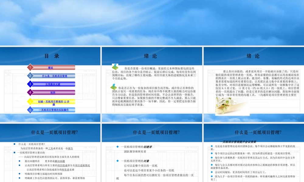 一页纸项目管理_1