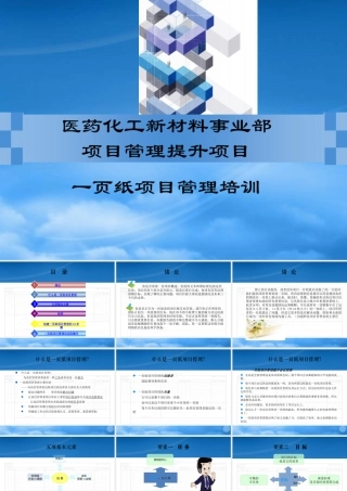 一页纸项目管理_1