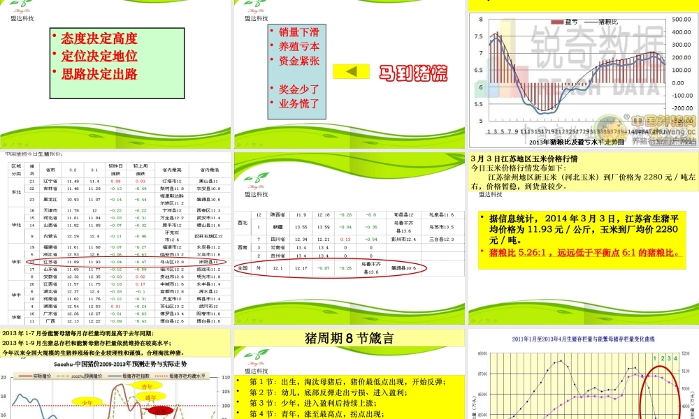 XXXX年度饲料企业发展之路