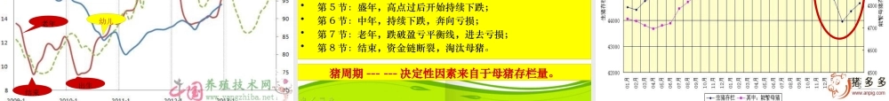 XXXX年度饲料企业发展之路