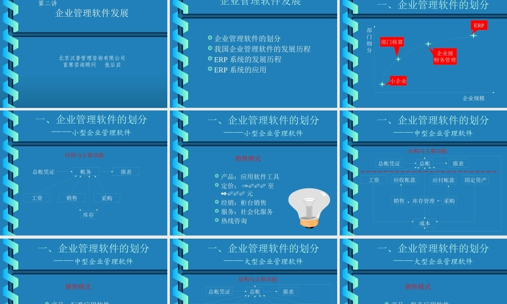 《企业管理软件》讲座--咨询公司