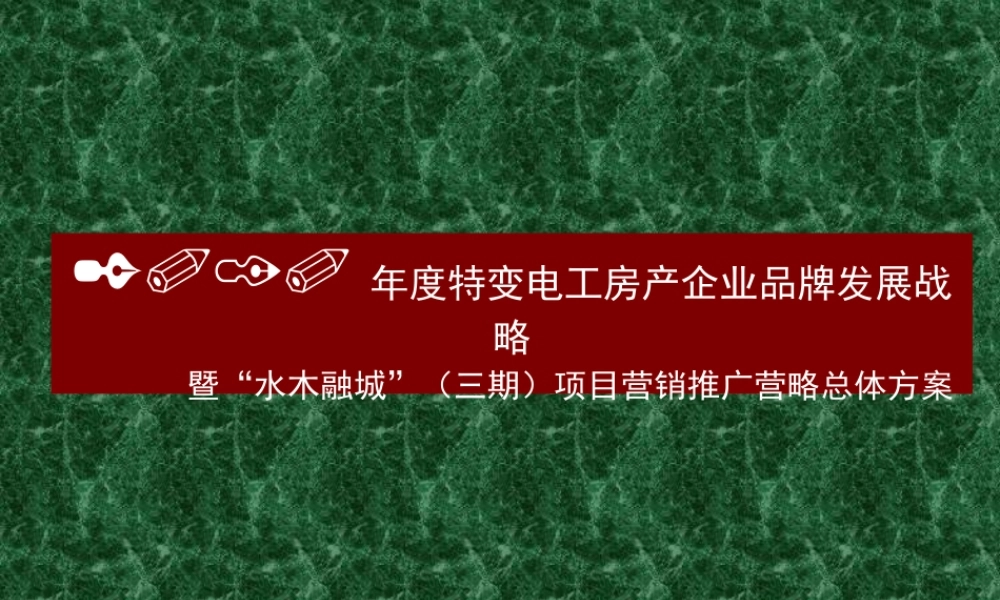 XXXX年度特变电工房产品牌发展方案02
