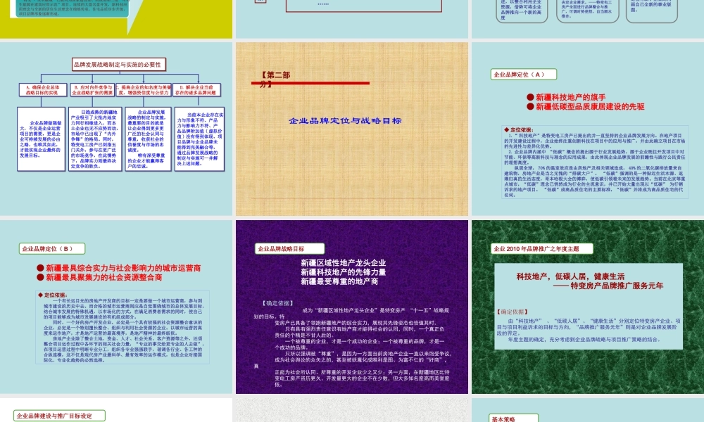 XXXX年度特变电工房产品牌发展方案02