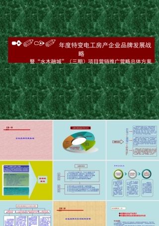 XXXX年度特变电工房产品牌发展方案02
