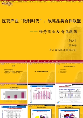 XXXX年度战略合作沟通会