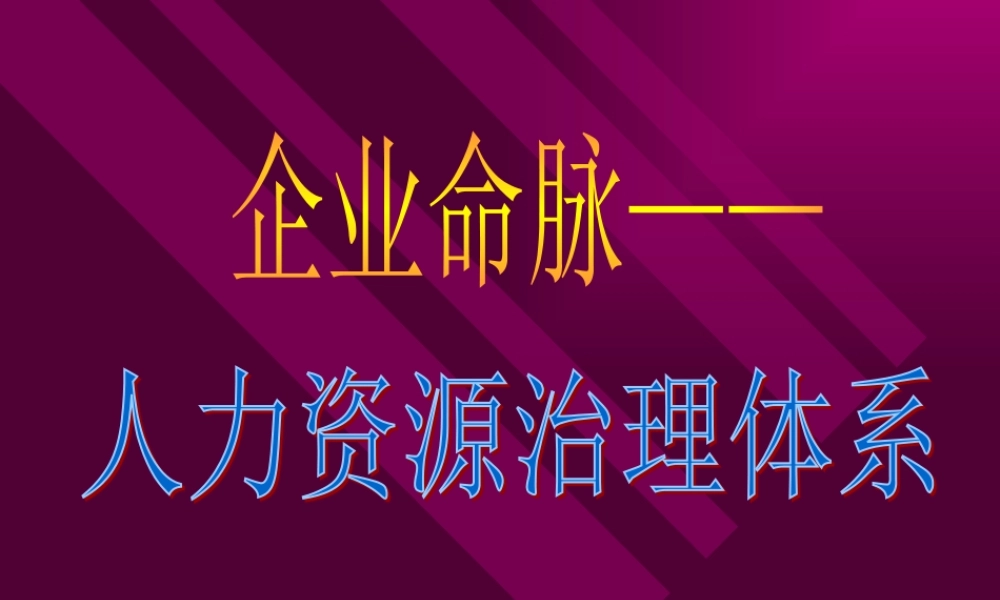 《企业命脉-人力资源治理体系》