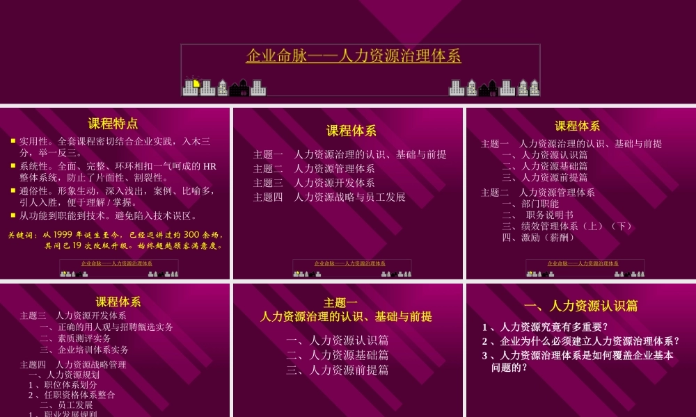 《企业命脉-人力资源治理体系》