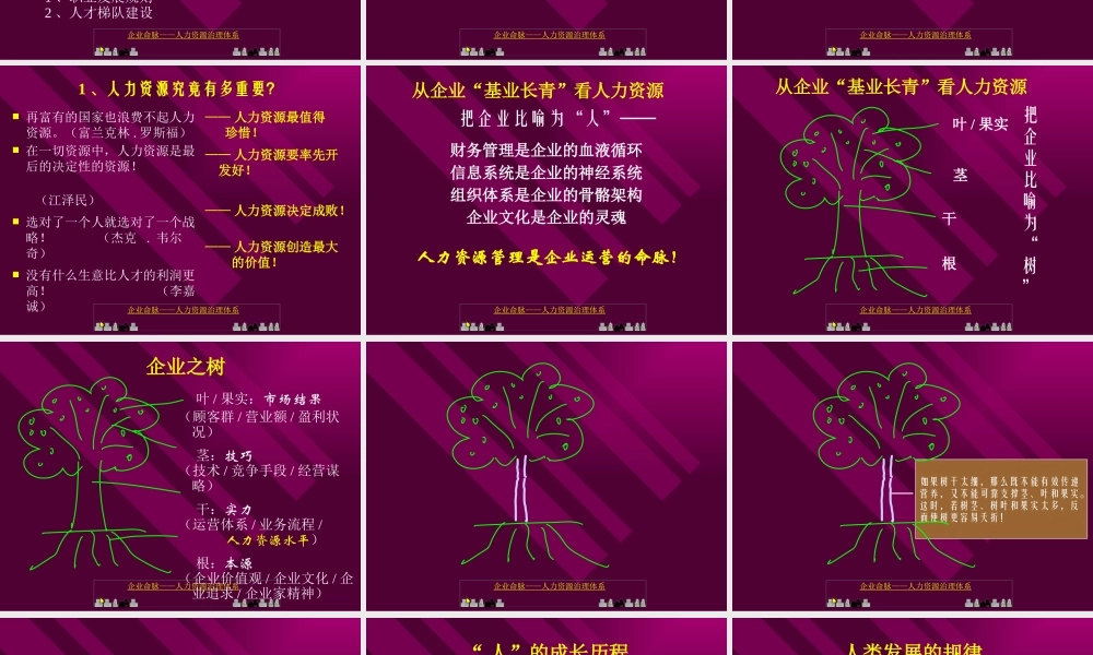 《企业命脉-人力资源治理体系》