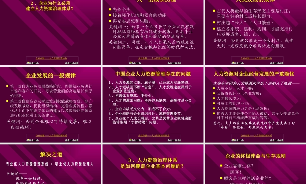 《企业命脉-人力资源治理体系》