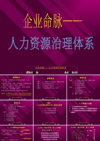 《企业命脉-人力资源治理体系》