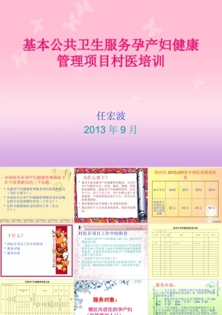 XXXX年妇保项目村医培训修改版