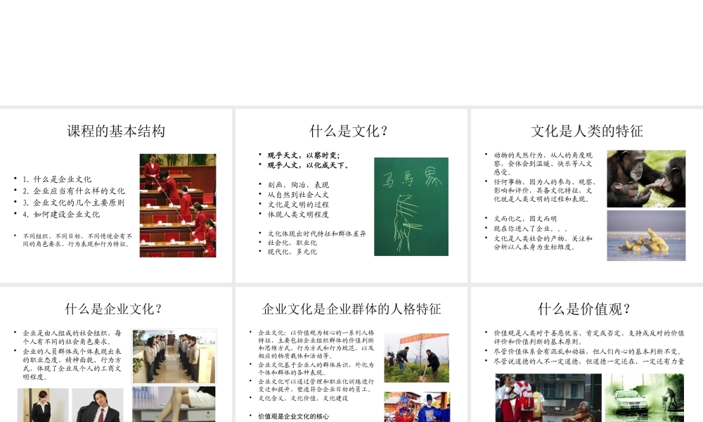 《企业文化》年企业高管MBA进修班课程课件