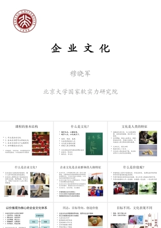 《企业文化》年企业高管MBA进修班课程课件