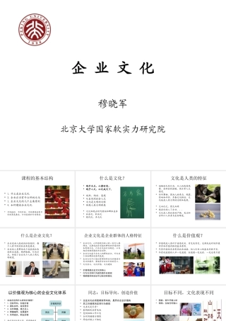 《企业文化》企业高管MBA进修班课程课件