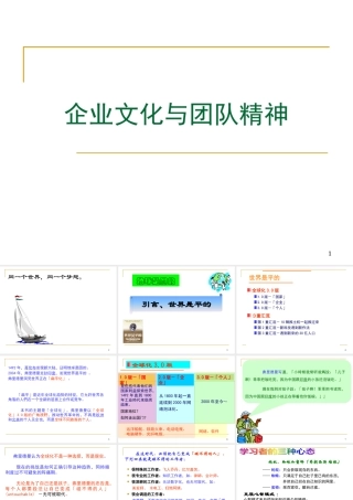 《企业文化与团队精神》