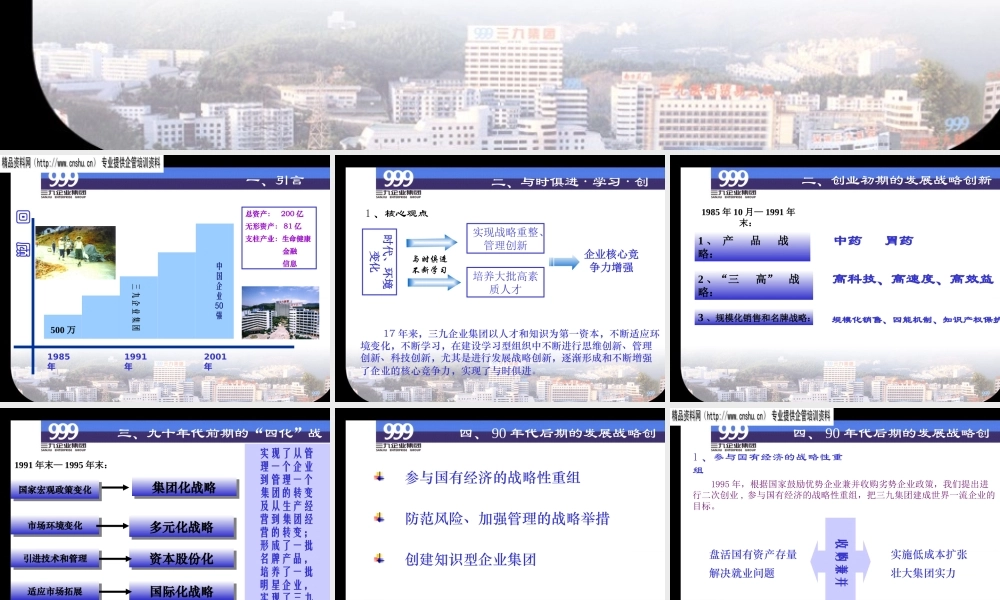 与时俱进，在学习中实现发展战略创新（三九企业集团）(ppt14)