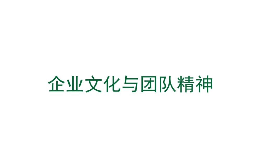 《企业文化与团队精神》188页_2
