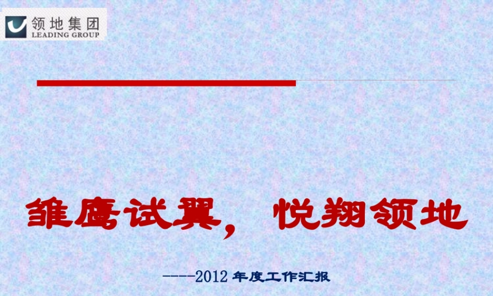 XXXX年工作总结