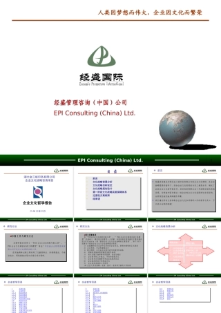 《企业文化战略咨询项目(机密)》