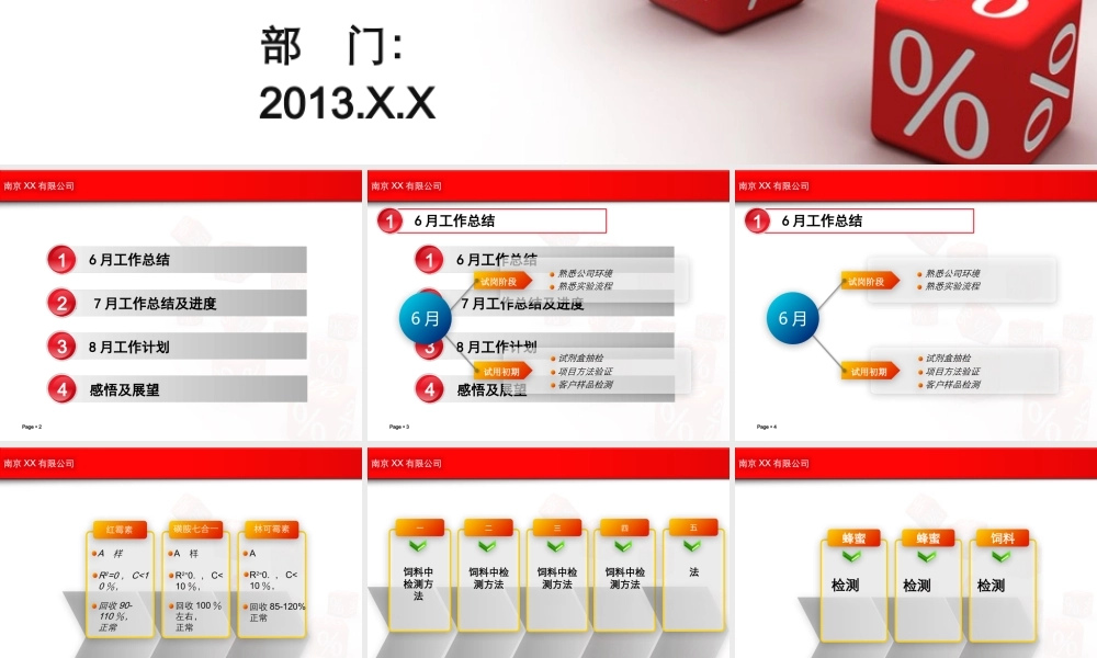 XXXX年工作总结PPT模版10086
