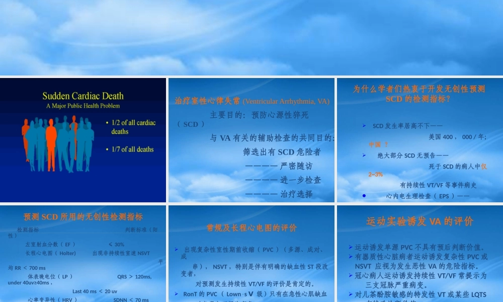 与室性心律失常有关的辅助检查讲义