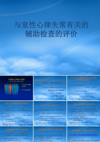 与室性心律失常有关的辅助检查讲义