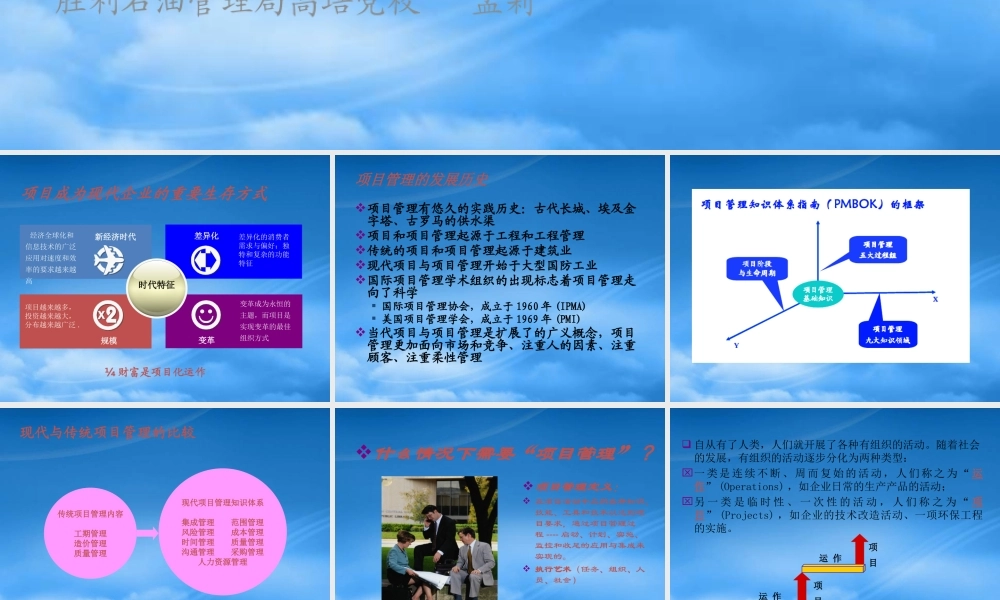 与项目管理(资料)