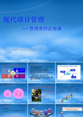 与项目管理(资料)