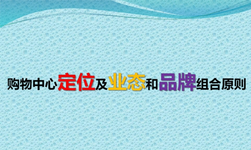 XXXX年购物中心定位及业态和品牌组合原则