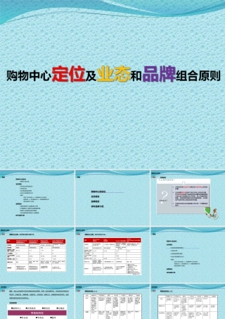 XXXX年购物中心定位及业态和品牌组合原则