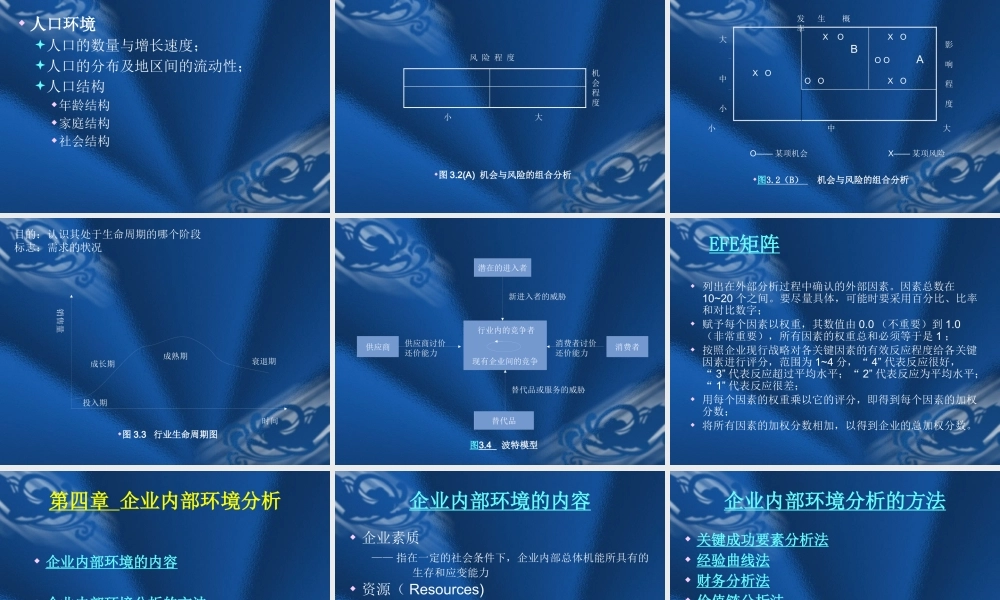 《企业战略管理》