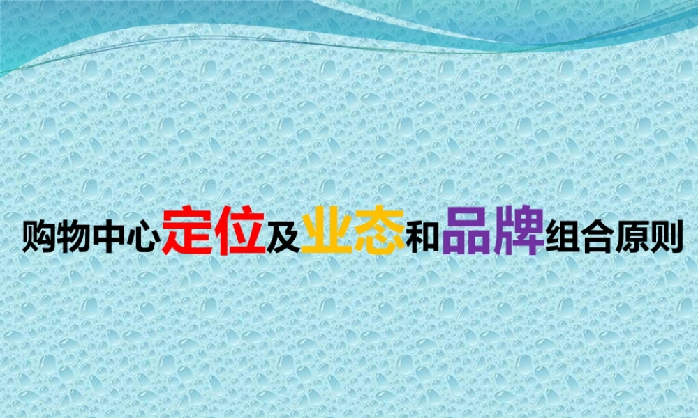 XXXX年购物中心定位及业态和品牌组合原则培训104p课