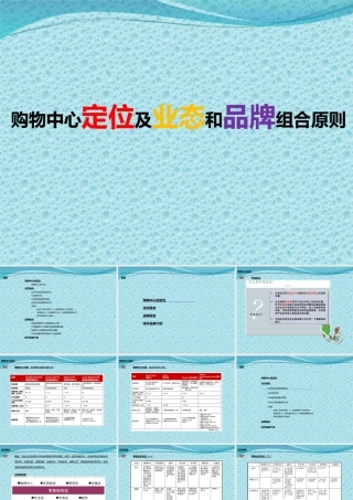 XXXX年购物中心定位及业态和品牌组合原则培训104p课