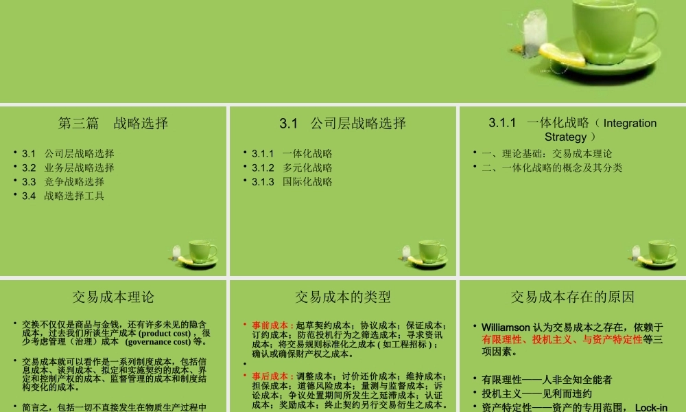 《企业战略管理》3-战略选择