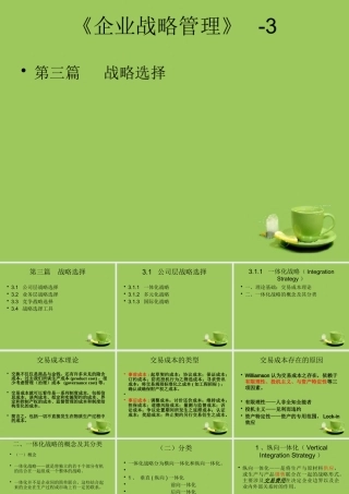 《企业战略管理》3-战略选择