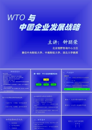 与中国企业发展战略