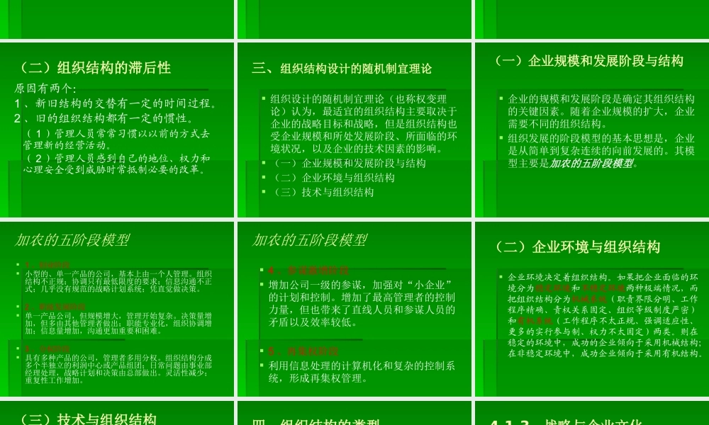 《企业战略管理》4-战略实施与控制