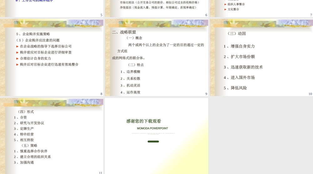 《企业战略管理》第八讲 企业的战略性竞合