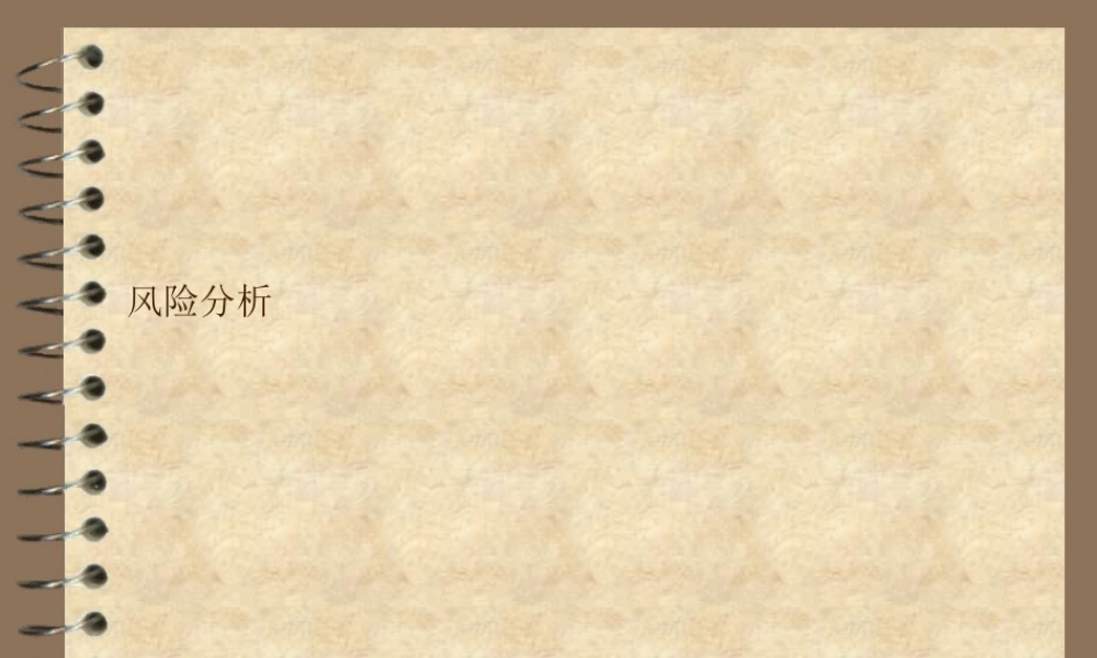 专案风险分析(1)