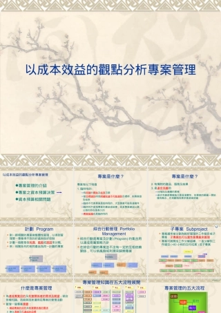 专案管理的成本效益分析