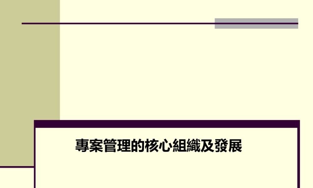 专案管理的核心分析组织及发展