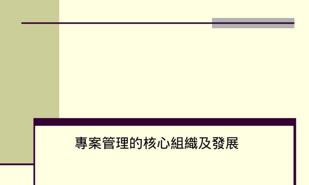 专案管理的核心组织及发展