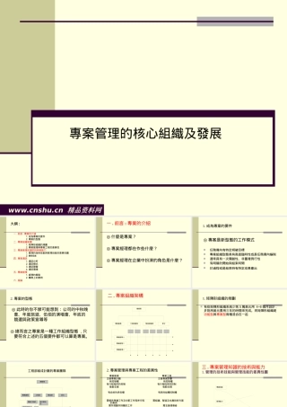 专案管理的核心组织及发展