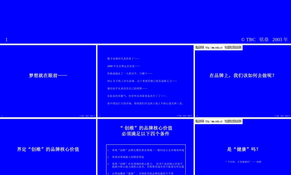 XXXX年广州TBC铭鼎品牌传播有限公司--创维品牌战略(ppt 93) 