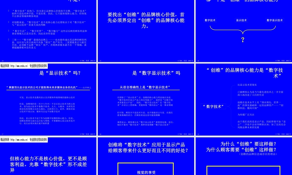 XXXX年广州TBC铭鼎品牌传播有限公司--创维品牌战略(ppt 93) 
