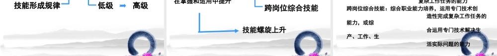 专家报告：职业教育课程-以人的发展为本(刘显泽)